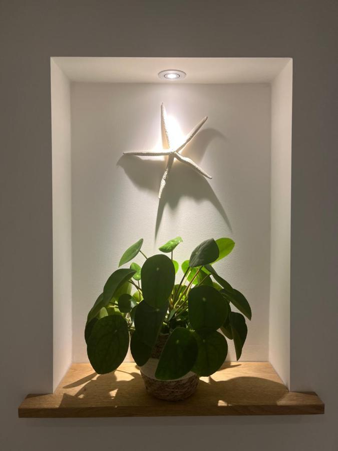 Appartement Van Der Zee Zandvoort Exteriér fotografie
