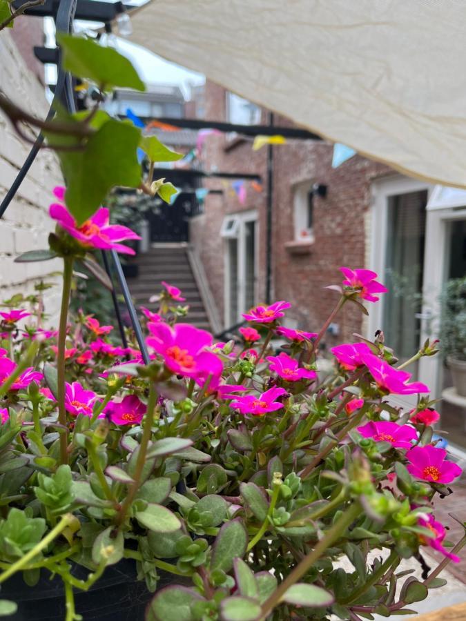 Appartement Van Der Zee Zandvoort Exteriér fotografie